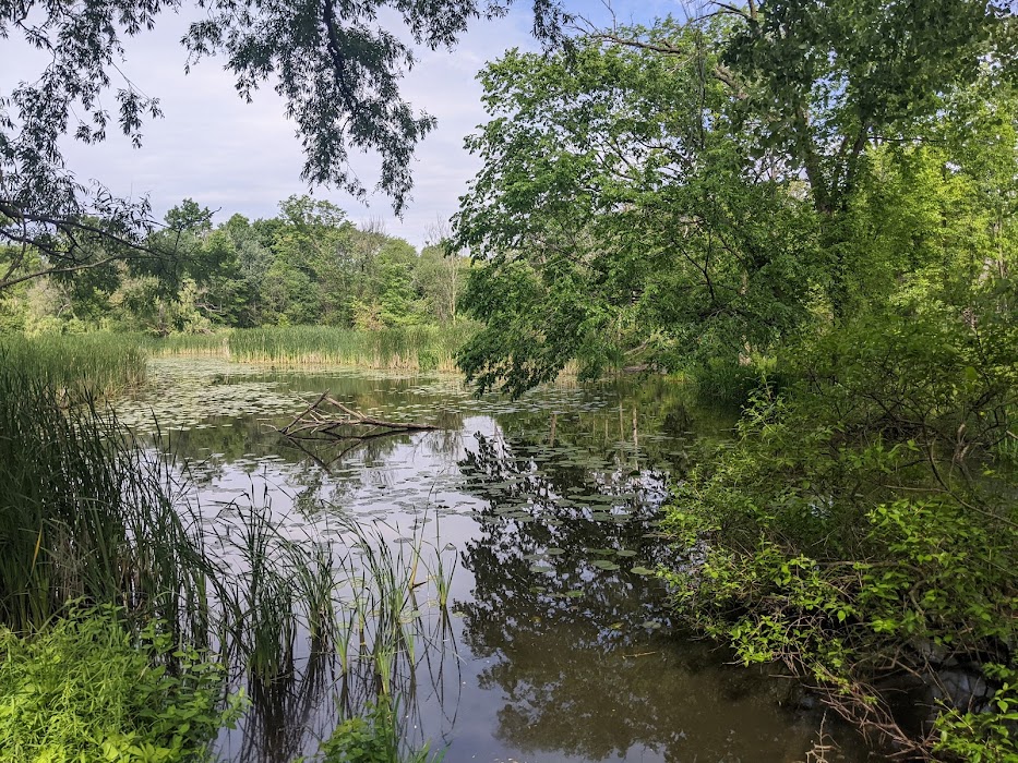 North Park Village Nature Center fotoğraf 1