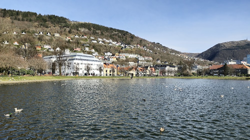Park bergen fotoğraf 1