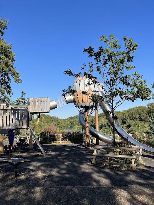 Lakeside Adventure, Playground fotoğraf 1