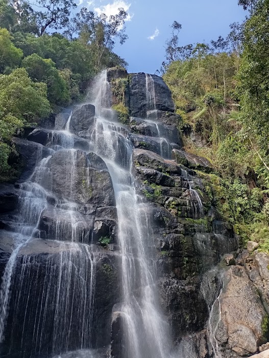 Parque Nacional do Itatiaia fotoğraf 1