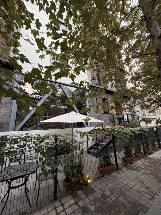 Café Sinergia fotoğraf 1