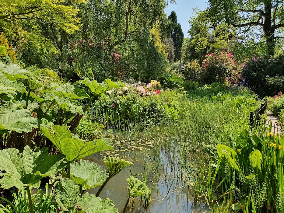 Fletcher Moss Botanical Gardens fotoğraf 1