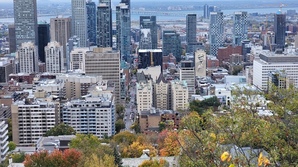 Mount Royal Park fotoğraf 1