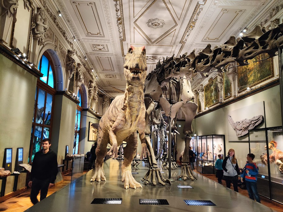 Naturhistorisches Museum Wien fotoğraf 1
