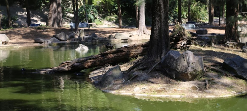 Bosque Los Colomos fotoğraf 1