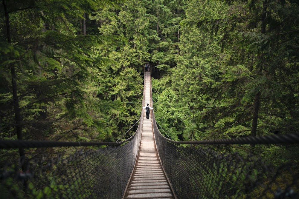 Lynn Canyon Suspension Bridge fotoğraf 1