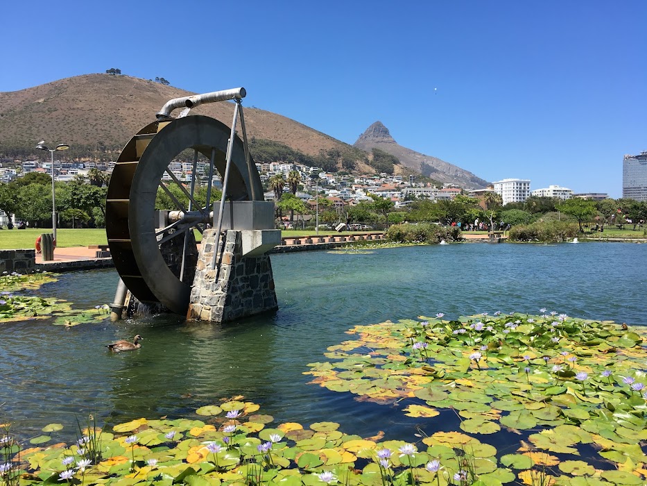Green Point Park fotoğraf 1