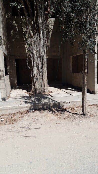 TURRIS fotoğraf 1