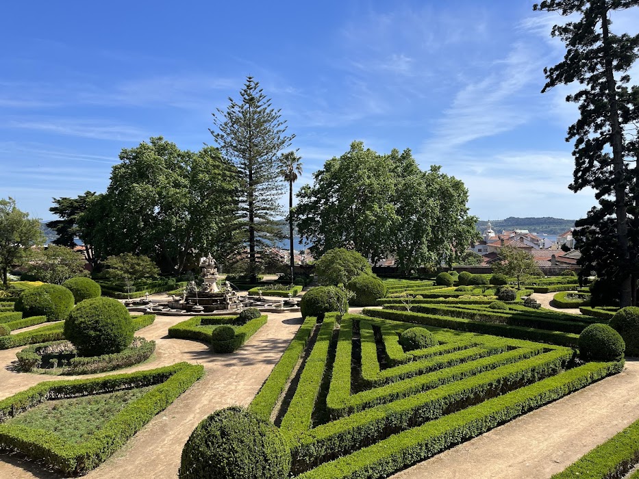 Jardim Botânico da Ajuda fotoğraf 1