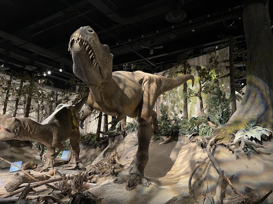 Royal Tyrrell Museum fotoğraf 1